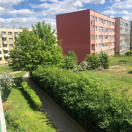 Noclegi Na Sudeckim Świebodzice Exterior foto